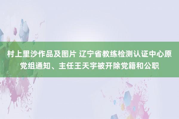 村上里沙作品及图片 辽宁省教练检测认证中心原党组通知、主任王天宇被开除党籍和公职