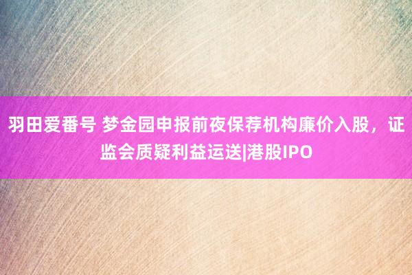 羽田爱番号 梦金园申报前夜保荐机构廉价入股，证监会质疑利益运送|港股IPO