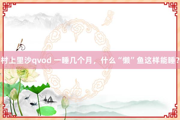 村上里沙qvod 一睡几个月，什么“懒”鱼这样能睡？