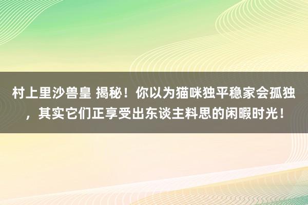 村上里沙兽皇 揭秘！你以为猫咪独平稳家会孤独，其实它们正享受出东谈主料思的闲暇时光！