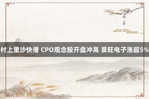 村上里沙快播 CPO观念股开盘冲高 景旺电子涨超5%