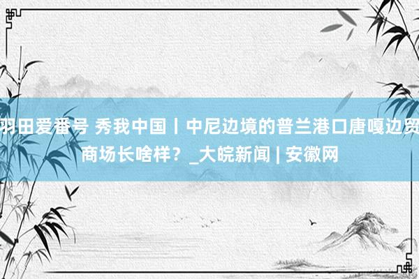 羽田爱番号 秀我中国丨中尼边境的普兰港口唐嘎边贸商场长啥样？_大皖新闻 | 安徽网