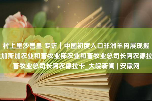 村上里沙兽皇 专访｜中国初度入口非洲羊肉展现握续绽放赤忱——访马达加斯加农业和畜牧业部农业和畜牧业总司长阿农德拉卡_大皖新闻 | 安徽网