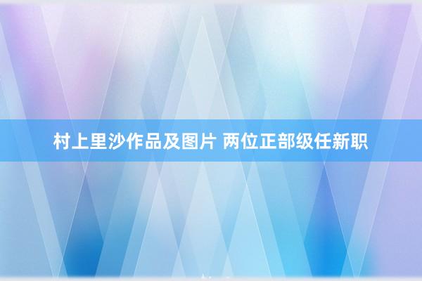 村上里沙作品及图片 两位正部级任新职