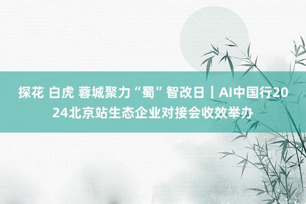 探花 白虎 蓉城聚力“蜀”智改日｜AI中国行2024北京站生态企业对接会收效举办