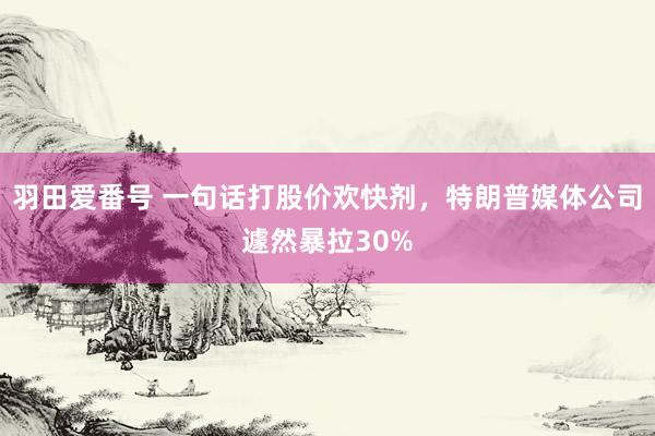 羽田爱番号 一句话打股价欢快剂，特朗普媒体公司遽然暴拉30%