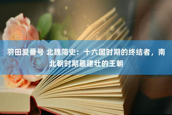 羽田爱番号 北魏简史：十六国时期的终结者，南北朝时期最建壮的王朝