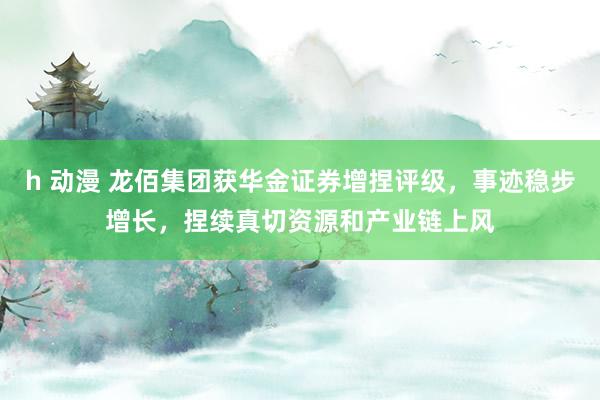 h 动漫 龙佰集团获华金证券增捏评级，事迹稳步增长，捏续真切资源和产业链上风