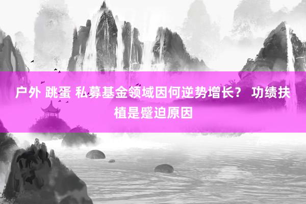 户外 跳蛋 私募基金领域因何逆势增长？ 功绩扶植是蹙迫原因