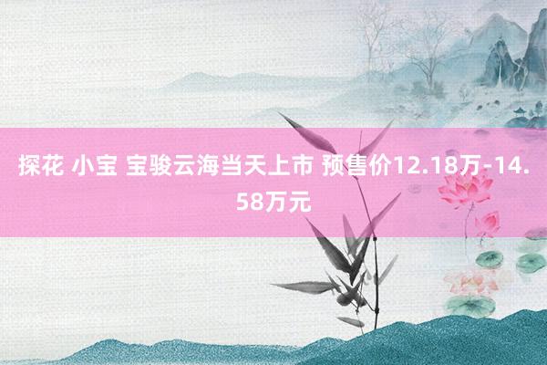 探花 小宝 宝骏云海当天上市 预售价12.18万-14.58万元