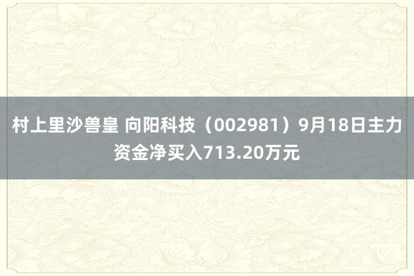 村上里沙兽皇 向阳科技（002981）9月18日主力资金净买入713.20万元