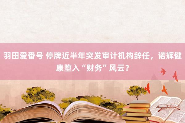 羽田爱番号 停牌近半年突发审计机构辞任，诺辉健康堕入“财务”风云？