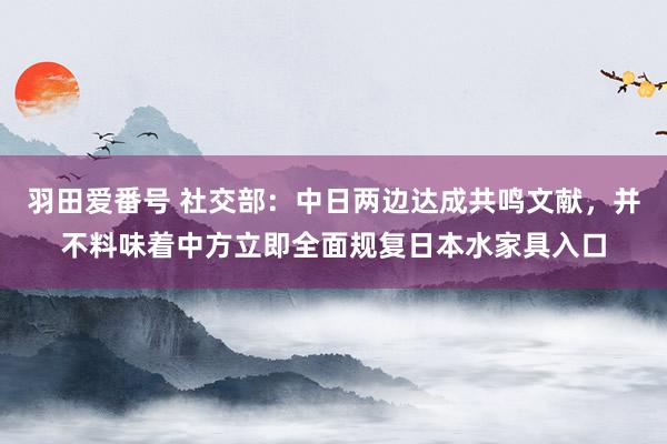 羽田爱番号 社交部：中日两边达成共鸣文献，并不料味着中方立即全面规复日本水家具入口