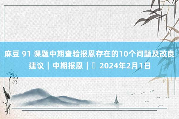 麻豆 91 课题中期查验报恩存在的10个问题及改良建议┃中期报恩┃​2024年2月1日