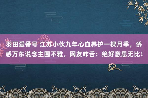 羽田爱番号 江苏小伙九年心血养护一棵月季，诱惑万东说念主围不雅，网友咋舌：绝好意思无比！