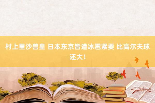 村上里沙兽皇 日本东京皆遭冰雹紧要 比高尔夫球还大！