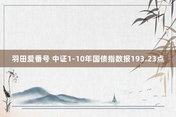 羽田爱番号 中证1-10年国债指数报193.23点