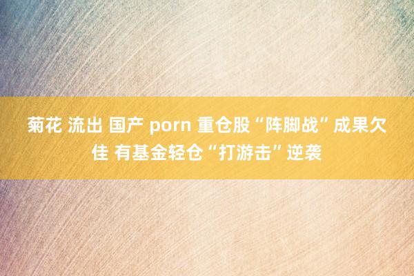 菊花 流出 国产 porn 重仓股“阵脚战”成果欠佳 有基金轻仓“打游击”逆袭