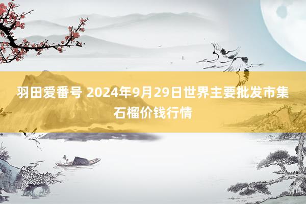 羽田爱番号 2024年9月29日世界主要批发市集石榴价钱行情