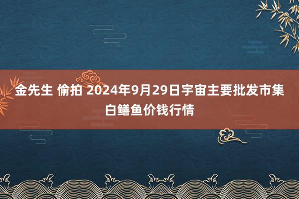 金先生 偷拍 2024年9月29日宇宙主要批发市集白鳝鱼价钱行情