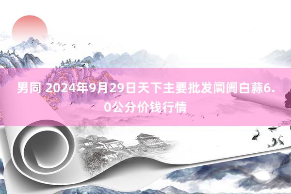 男同 2024年9月29日天下主要批发阛阓白蒜6.0公分价钱行情