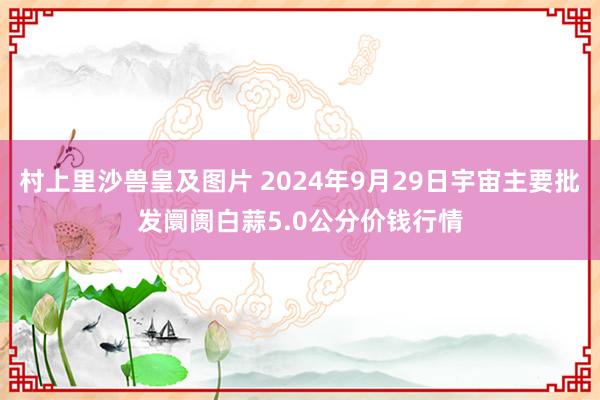 村上里沙兽皇及图片 2024年9月29日宇宙主要批发阛阓白蒜5.0公分价钱行情