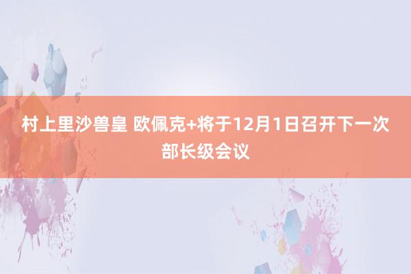 村上里沙兽皇 欧佩克+将于12月1日召开下一次部长级会议