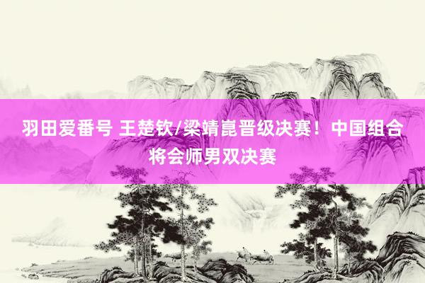 羽田爱番号 王楚钦/梁靖崑晋级决赛！中国组合将会师男双决赛