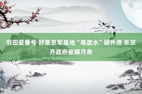 羽田爱番号 好意思军基地“毒废水”疑外泄 东京齐政府被瞒月余