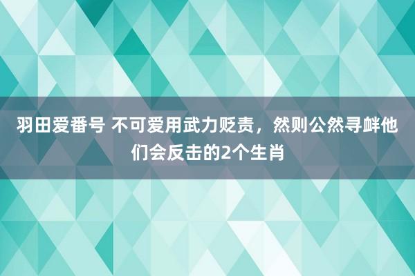 羽田爱番号 不可爱用武力贬责，然则公然寻衅他们会反击的2个生肖