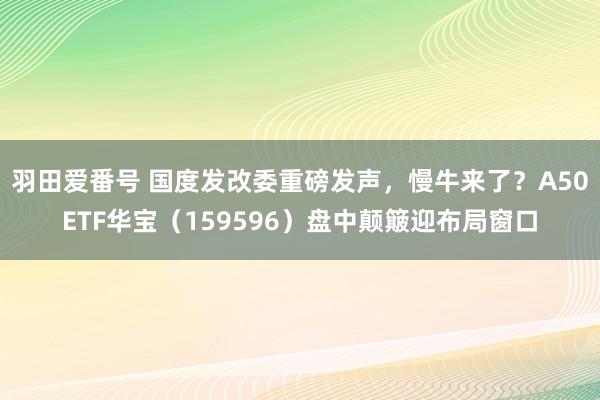 羽田爱番号 国度发改委重磅发声，慢牛来了？A50ETF华宝（159596）盘中颠簸迎布局窗口