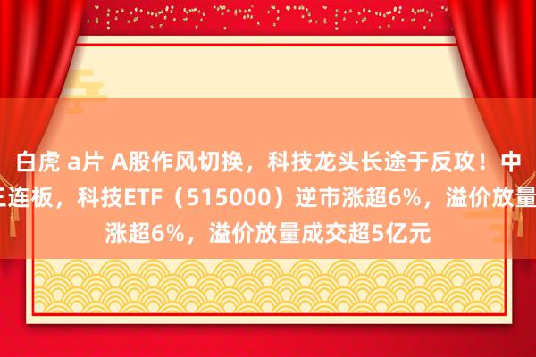 白虎 a片 A股作风切换，科技龙头长途于反攻！中芯海外斩获三连板，科技ETF（515000）逆市涨超6%，溢价放量成交超5亿元