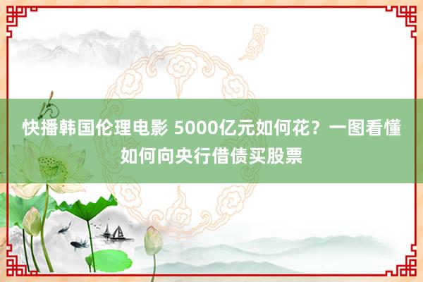 快播韩国伦理电影 5000亿元如何花？一图看懂如何向央行借债买股票