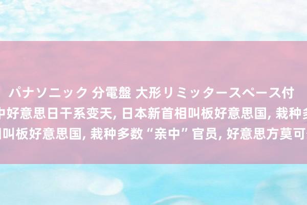 パナソニック 分電盤 大形リミッタースペース付 露出・半埋込両用形 中好意思日干系变天， 日本新首相叫板好意思国， 栽种多数“亲中”官员， 好意思方莫可奈何