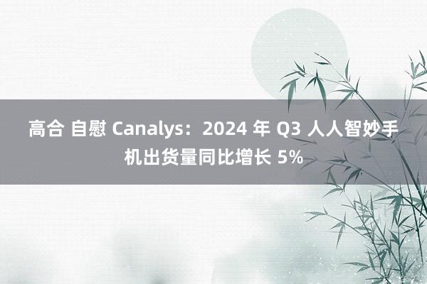 高合 自慰 Canalys：2024 年 Q3 人人智妙手机出货量同比增长 5%