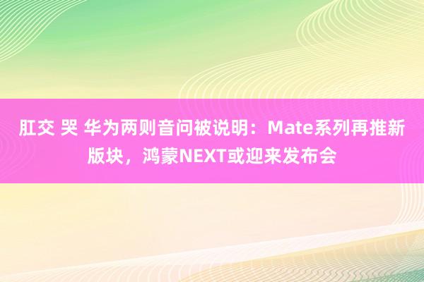 肛交 哭 华为两则音问被说明：Mate系列再推新版块，鸿蒙NEXT或迎来发布会