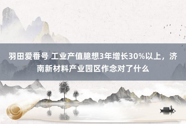 羽田爱番号 工业产值臆想3年增长30%以上，济南新材料产业园区作念对了什么