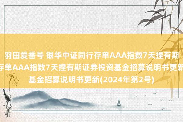 羽田爱番号 银华中证同行存单AAA指数7天捏有期: 银华中证同行存单AAA指数7天捏有期证券投资基金招募说明书更新(2024年第2号)