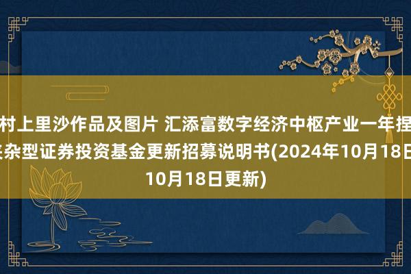 村上里沙作品及图片 汇添富数字经济中枢产业一年捏有期夹杂型证券投资基金更新招募说明书(2024年10月18日更新)