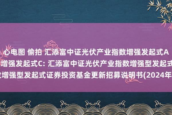 心电图 偷拍 汇添富中证光伏产业指数增强发起式A，汇添富中证光伏产业指数增强发起式C: 汇添富中证光伏产业指数增强型发起式证券投资基金更新招募说明书(2024年10月18日更新)