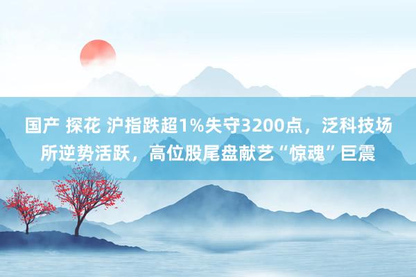 国产 探花 沪指跌超1%失守3200点，泛科技场所逆势活跃，高位股尾盘献艺“惊魂”巨震