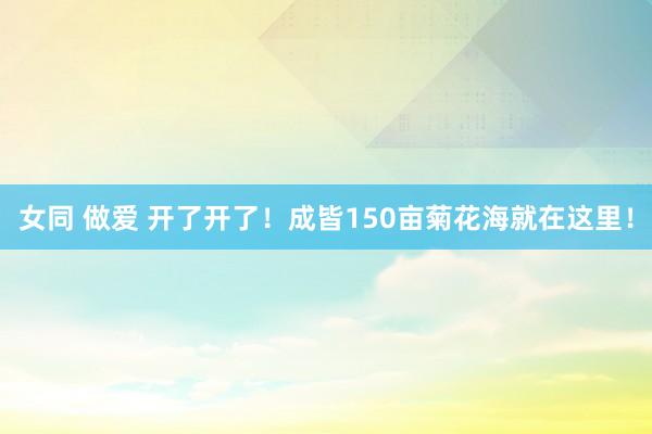 女同 做爱 开了开了！成皆150亩菊花海就在这里！