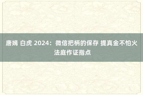 唐嫣 白虎 2024：微信把柄的保存 提真金不怕火 法庭作证指点