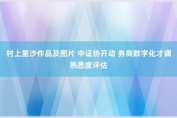 村上里沙作品及图片 中证协开动 券商数字化才调熟悉度评估