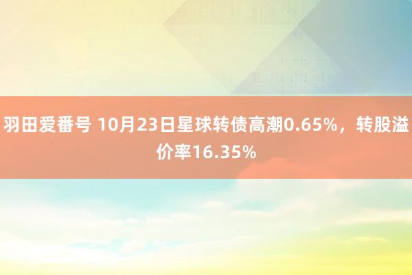 羽田爱番号 10月23日星球转债高潮0.65%，转股溢价率16.35%