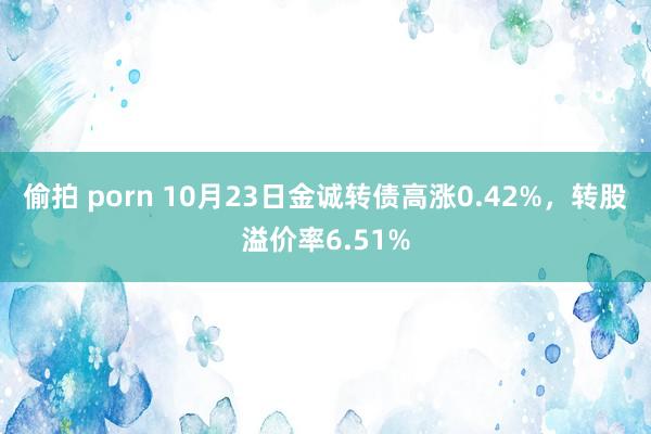 偷拍 porn 10月23日金诚转债高涨0.42%，转股溢价率6.51%