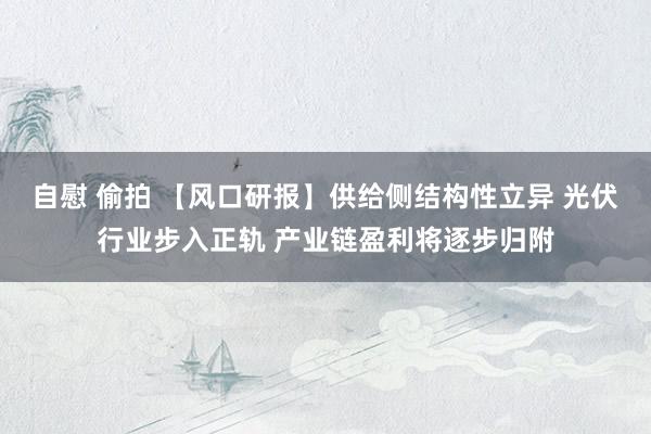 自慰 偷拍 【风口研报】供给侧结构性立异 光伏行业步入正轨 产业链盈利将逐步归附