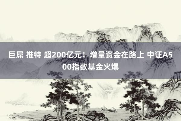 巨屌 推特 超200亿元！增量资金在路上 中证A500指数基金火爆