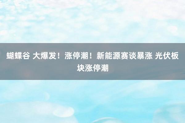 蝴蝶谷 大爆发！涨停潮！新能源赛谈暴涨 光伏板块涨停潮