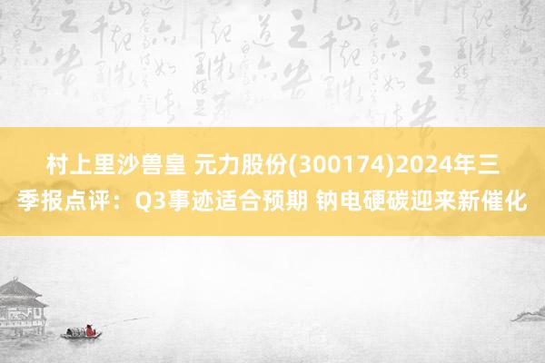 村上里沙兽皇 元力股份(300174)2024年三季报点评：Q3事迹适合预期 钠电硬碳迎来新催化